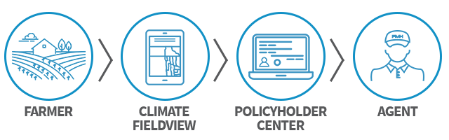 Flow Chart Graphic_Public